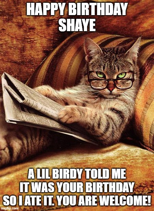 cat reading | HAPPY BIRTHDAY
SHAYE; A LIL BIRDY TOLD ME IT WAS YOUR BIRTHDAY
SO I ATE IT. YOU ARE WELCOME! | image tagged in cat reading | made w/ Imgflip meme maker