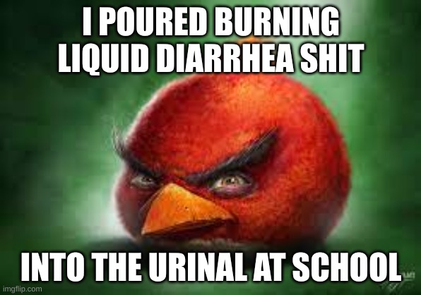 Realistic Red Angry Birds | I POURED BURNING LIQUID DIARRHEA SHIT; INTO THE URINAL AT SCHOOL | image tagged in realistic red angry birds | made w/ Imgflip meme maker