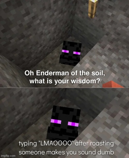 image tagged in memes | made w/ Imgflip meme maker