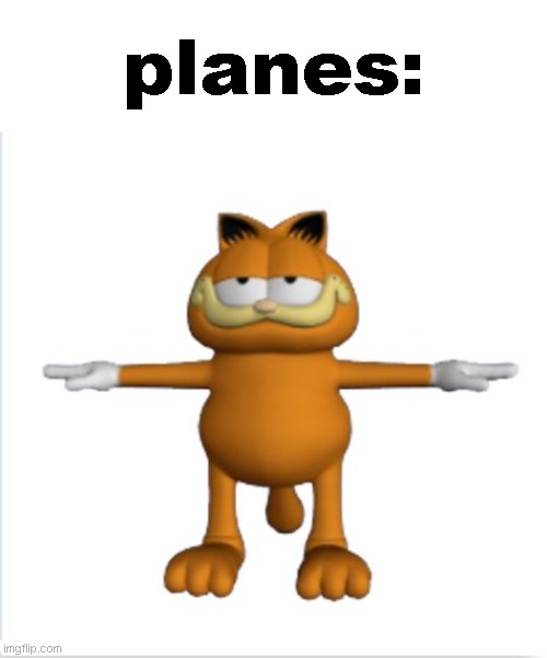 look at a plane and youll see what i mean | planes: | image tagged in garfield t-pose,pun | made w/ Imgflip meme maker