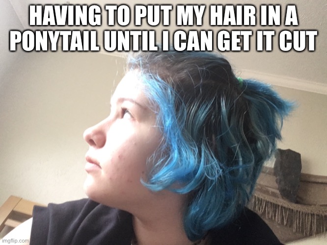 HAVING TO PUT MY HAIR IN A PONYTAIL UNTIL I CAN GET IT CUT | made w/ Imgflip meme maker