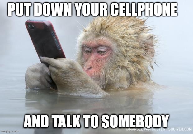 monkey mobile phone | PUT DOWN YOUR CELLPHONE; AND TALK TO SOMEBODY | image tagged in monkey mobile phone | made w/ Imgflip meme maker