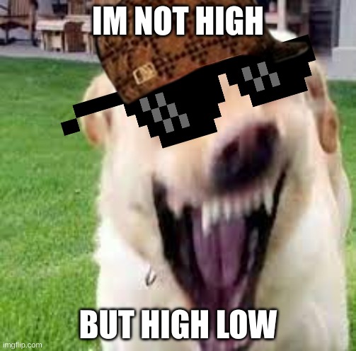 High Low | IM NOT HIGH; BUT HIGH LOW | image tagged in snoop dogg | made w/ Imgflip meme maker