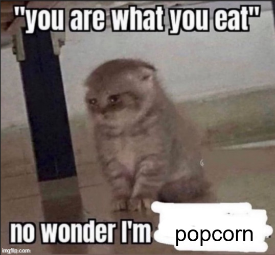 you are what you eat | popcorn | image tagged in you are what you eat | made w/ Imgflip meme maker