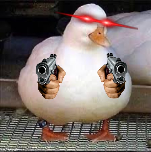 Die duck | image tagged in funny | made w/ Imgflip meme maker