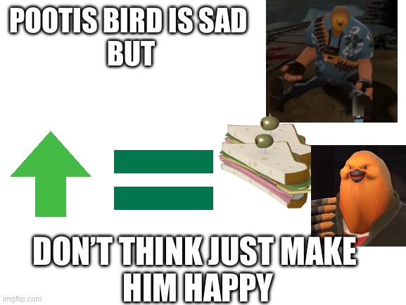 Blank White Template | POOTIS BIRD IS SAD
 BUT; DON’T THINK JUST MAKE 
HIM HAPPY | image tagged in blank white template | made w/ Imgflip meme maker