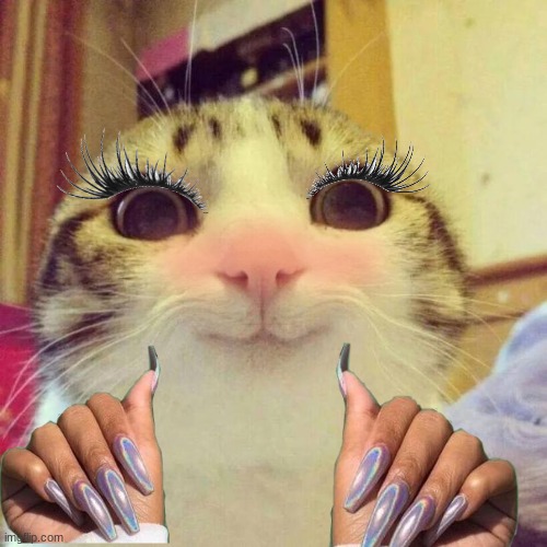 Smiling Cat | image tagged in memes,smiling cat | made w/ Imgflip meme maker