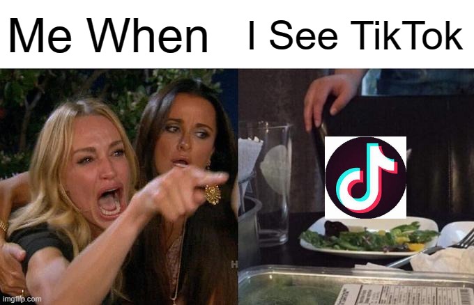 Woman Yelling At Cat Meme | Me When; I See TikTok | image tagged in memes,woman yelling at cat | made w/ Imgflip meme maker