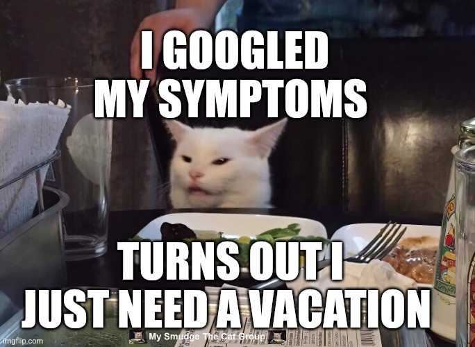 I GOOGLED MY SYMPTOMS; TURNS OUT I JUST NEED A VACATION | image tagged in smudge the cat | made w/ Imgflip meme maker