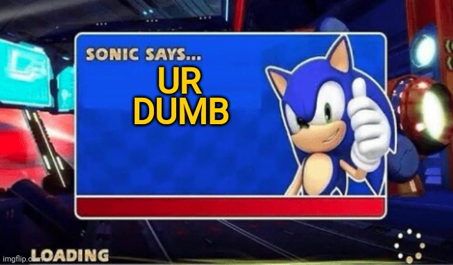 Sonic Says | DUMB; UR | image tagged in sonic says | made w/ Imgflip meme maker