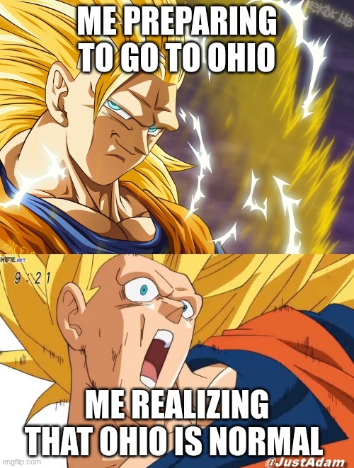 Ohio | ME PREPARING TO GO TO OHIO; ME REALIZING THAT OHIO IS NORMAL | image tagged in dragon ball super,ohio | made w/ Imgflip meme maker