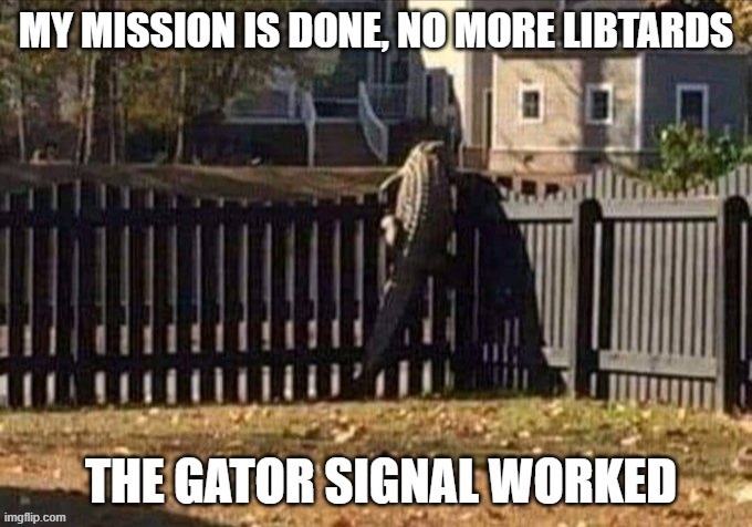 The Gator Signal | image tagged in the gator signal | made w/ Imgflip meme maker