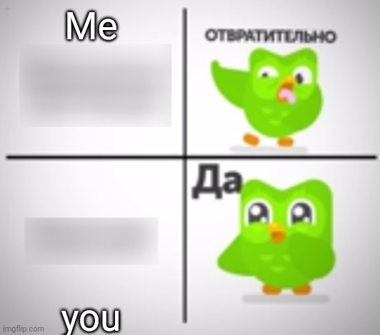 Drake Hotline Bling (Duolingo version) | Me you | image tagged in drake hotline bling duolingo version | made w/ Imgflip meme maker