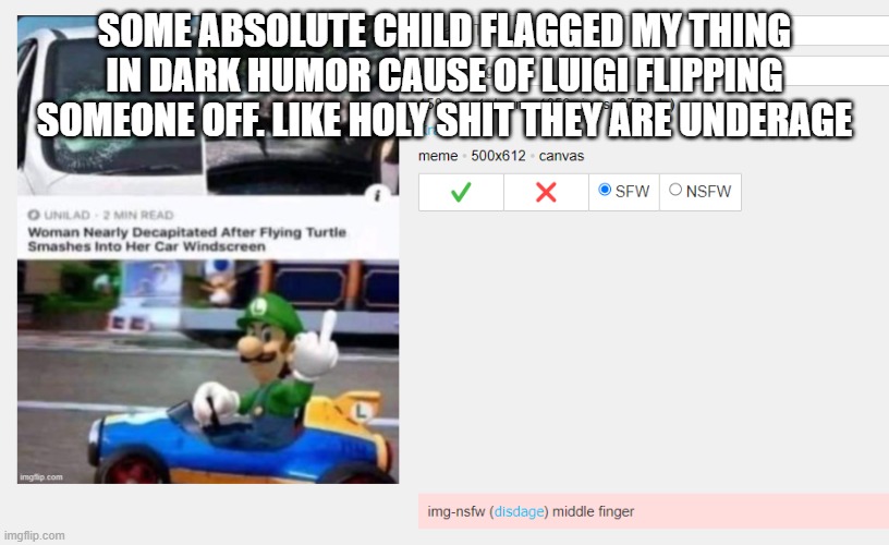 SOME ABSOLUTE CHILD FLAGGED MY THING IN DARK HUMOR CAUSE OF LUIGI FLIPPING SOMEONE OFF. LIKE HOLY SHIT THEY ARE UNDERAGE | made w/ Imgflip meme maker