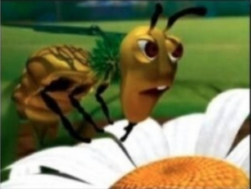 Plan Bee retarded face Blank Meme Template