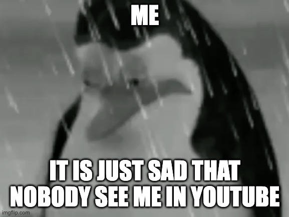 Sadge | ME; IT IS JUST SAD THAT NOBODY SEE ME IN YOUTUBE | image tagged in sadge | made w/ Imgflip meme maker