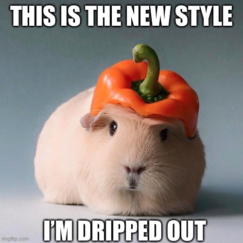 Guinea pig with vegetable | THIS IS THE NEW STYLE; I’M DRIPPED OUT | image tagged in guinea pig with vegetable | made w/ Imgflip meme maker