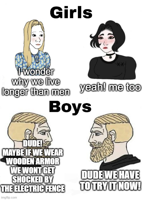 XD | I wonder why we live longer than men; yeah! me too; DUDE! MAYBE IF WE WEAR WOODEN ARMOR WE WONT GET SHOCKED BY THE ELECTRIC FENCE; DUDE WE HAVE TO TRY IT NOW! | image tagged in girls vs boys,stupid,true story,for real | made w/ Imgflip meme maker