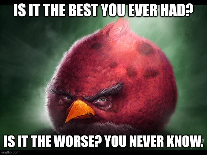 Guess the song | IS IT THE BEST YOU EVER HAD? IS IT THE WORSE? YOU NEVER KNOW. | image tagged in realistic angry bird big red | made w/ Imgflip meme maker