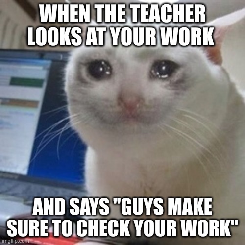 The Sadest moment | WHEN THE TEACHER LOOKS AT YOUR WORK; AND SAYS "GUYS MAKE SURE TO CHECK YOUR WORK" | image tagged in crying cat | made w/ Imgflip meme maker