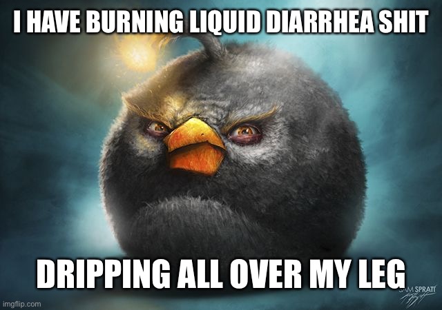 angry birds bomb | I HAVE BURNING LIQUID DIARRHEA SHIT; DRIPPING ALL OVER MY LEG | image tagged in angry birds bomb | made w/ Imgflip meme maker