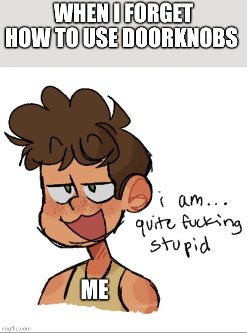 How do you open doors | WHEN I FORGET HOW TO USE DOORKNOBS; ME | image tagged in quite freaking stupid | made w/ Imgflip meme maker