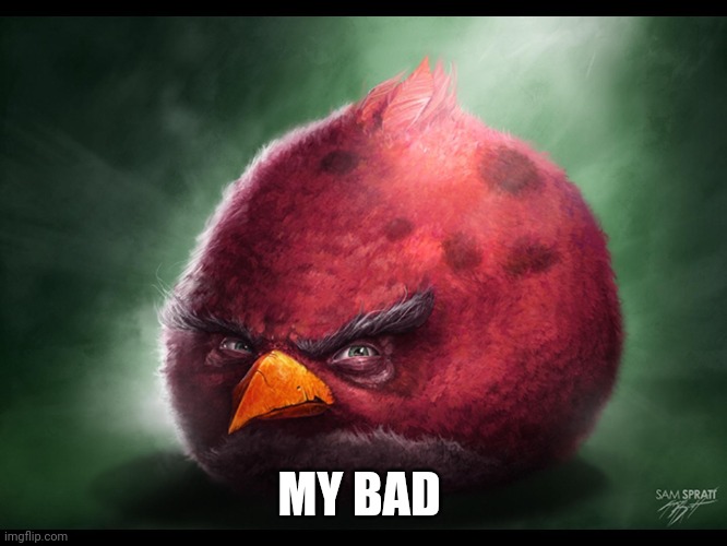 Realistic Angry Bird (big red) | MY BAD | image tagged in realistic angry bird big red | made w/ Imgflip meme maker