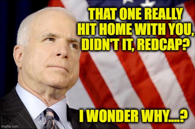 John McCain | THAT ONE REALLY HIT HOME WITH YOU, DIDN'T IT, REDCAP? I WONDER WHY....? | image tagged in john mccain | made w/ Imgflip meme maker