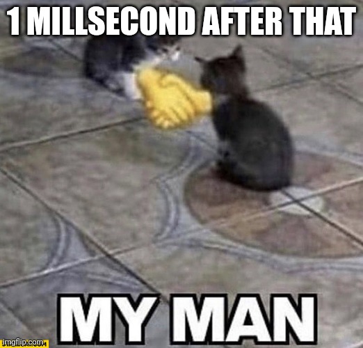 Cats shaking hands | 1 MILLSECOND AFTER THAT | image tagged in cats shaking hands | made w/ Imgflip meme maker