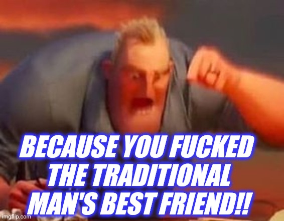 Mr incredible mad | BECAUSE YOU FUCKED 
THE TRADITIONAL
MAN'S BEST FRIEND!! | image tagged in mr incredible mad | made w/ Imgflip meme maker