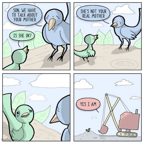 Not the bird's real mother | image tagged in birds,bird,mother,mothers,comics,comics/cartoons | made w/ Imgflip meme maker