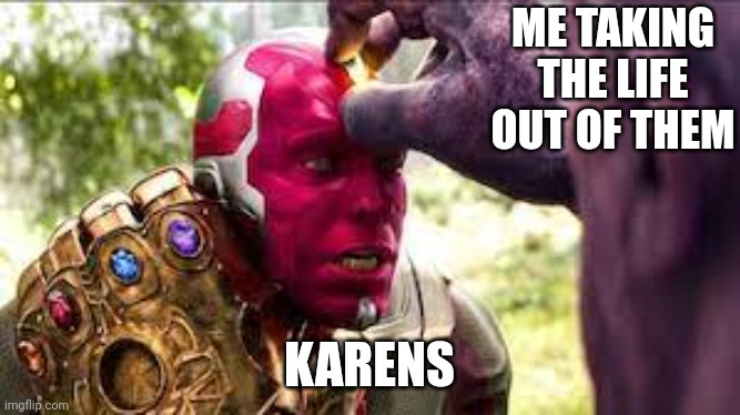 yoink | ME TAKING THE LIFE OUT OF THEM; KARENS | image tagged in yoink | made w/ Imgflip meme maker