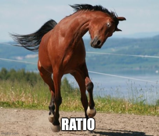 April 8 2023 | RATIO | image tagged in horse | made w/ Imgflip meme maker