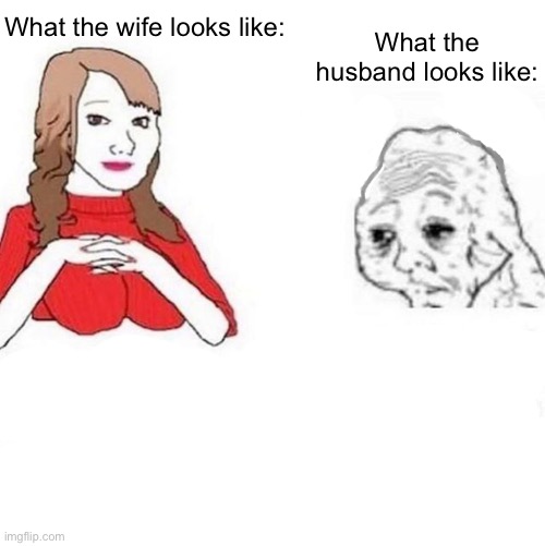 Wife husband | What the wife looks like:; What the husband looks like: | image tagged in yes honey | made w/ Imgflip meme maker