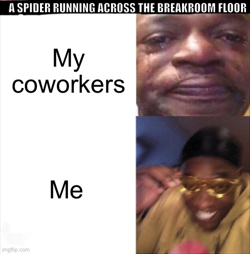 Sad Happy | A SPIDER RUNNING ACROSS THE BREAKROOM FLOOR; My coworkers; Me | image tagged in sad happy,spiders | made w/ Imgflip meme maker