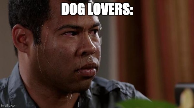 sweating bullets | DOG LOVERS: | image tagged in sweating bullets | made w/ Imgflip meme maker