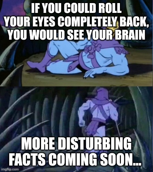 Skelator Facts | IF YOU COULD ROLL YOUR EYES COMPLETELY BACK, YOU WOULD SEE YOUR BRAIN; MORE DISTURBING FACTS COMING SOON... | image tagged in skelator facts | made w/ Imgflip meme maker