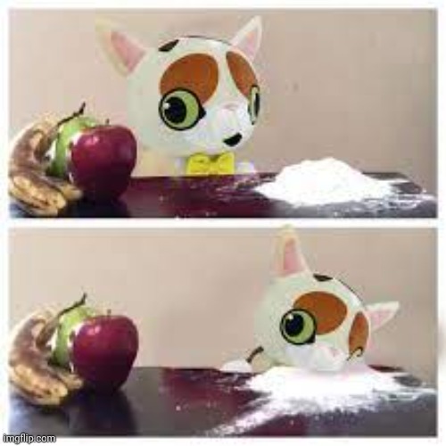 graystillplays spleens fruit or cocaine COCAINE IT IS | image tagged in graystillplays spleens fruit or cocaine cocaine it is | made w/ Imgflip meme maker