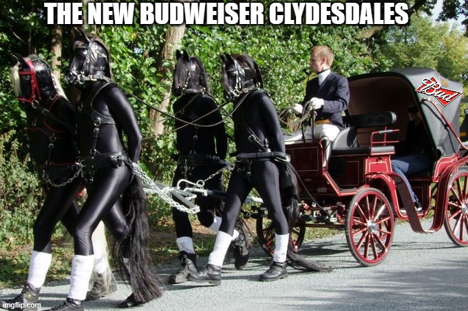 The new Budweiser Clydesdales! | THE NEW BUDWEISER CLYDESDALES | image tagged in horses,woke | made w/ Imgflip meme maker