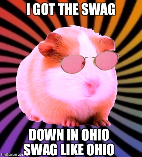 Swaggy | I GOT THE SWAG; DOWN IN OHIO SWAG LIKE OHIO | image tagged in swaggy the guinea pig | made w/ Imgflip meme maker