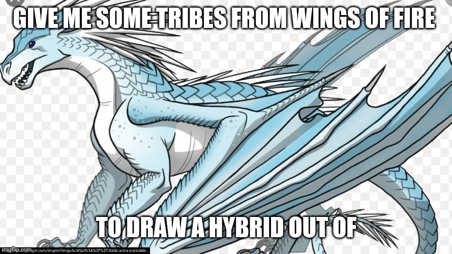 Drawing Hybrid Challenge! | GIVE ME SOME TRIBES FROM WINGS OF FIRE; TO DRAW A HYBRID OUT OF | image tagged in icewing,never gonna give you up,never gonna let you down,wof,drawings,never gonna run around and desert you | made w/ Imgflip meme maker