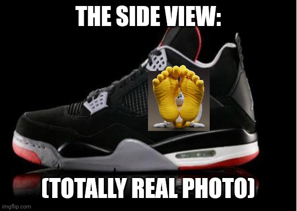 Jordan shoes | THE SIDE VIEW: (TOTALLY REAL PHOTO) | image tagged in jordan shoes | made w/ Imgflip meme maker