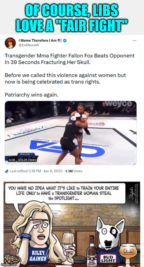 Of course Libs love a "fair fight" | OF COURSE, LIBS LOVE A "FAIR FIGHT" | image tagged in liberals,love,cheating | made w/ Imgflip meme maker
