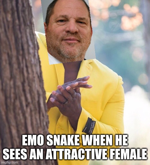 fr | EMO SNAKE WHEN HE SEES AN ATTRACTIVE FEMALE | image tagged in black guy hiding behind tree,harvey weinstein | made w/ Imgflip meme maker