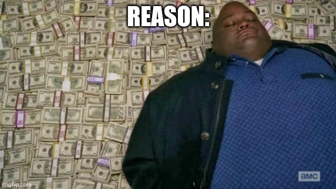huell money | REASON: | image tagged in huell money | made w/ Imgflip meme maker