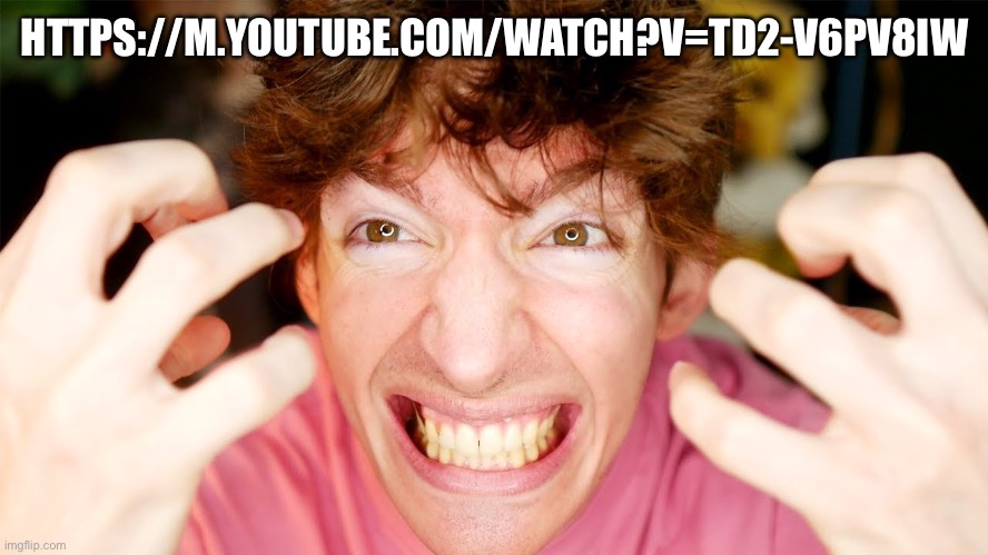 https://m.youtube.com/watch?v=TD2-V6PV8Iw | HTTPS://M.YOUTUBE.COM/WATCH?V=TD2-V6PV8IW | image tagged in flamingo s primal anger | made w/ Imgflip meme maker