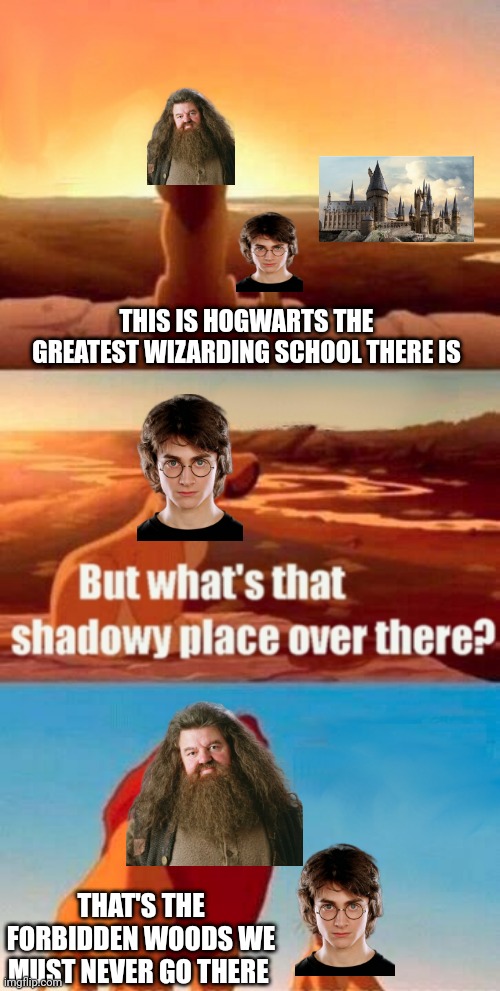 Simba Shadowy Place Meme | THIS IS HOGWARTS THE GREATEST WIZARDING SCHOOL THERE IS; THAT'S THE FORBIDDEN WOODS WE MUST NEVER GO THERE | image tagged in memes,simba shadowy place | made w/ Imgflip meme maker