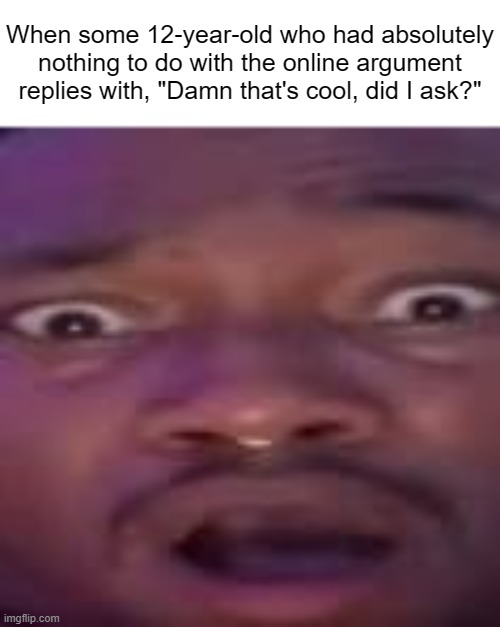 Damn that's cool, did I ask? | When some 12-year-old who had absolutely nothing to do with the online argument replies with, "Damn that's cool, did I ask?" | made w/ Imgflip meme maker