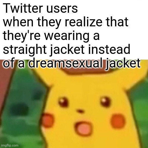 ? | Twitter users when they realize that they're wearing a straight jacket instead of a dreamsexual jacket | image tagged in memes,surprised pikachu | made w/ Imgflip meme maker