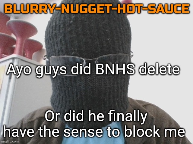 Blurry-nugget-hot-sauce | Ayo guys did BNHS delete; Or did he finally have the sense to block me | image tagged in blurry-nugget-hot-sauce | made w/ Imgflip meme maker